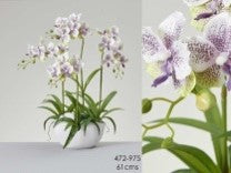 Orchid Plant and Pot White/Lilac 61 cms